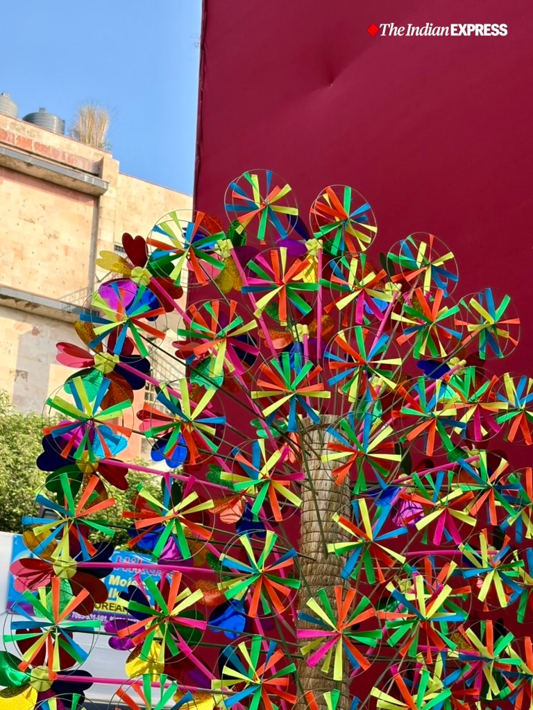 (Image: Bijin Jose/The Indian Express)