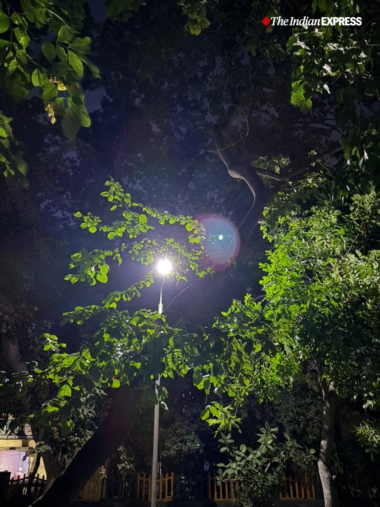 (Image: Bijin Jose/The Indian Express)