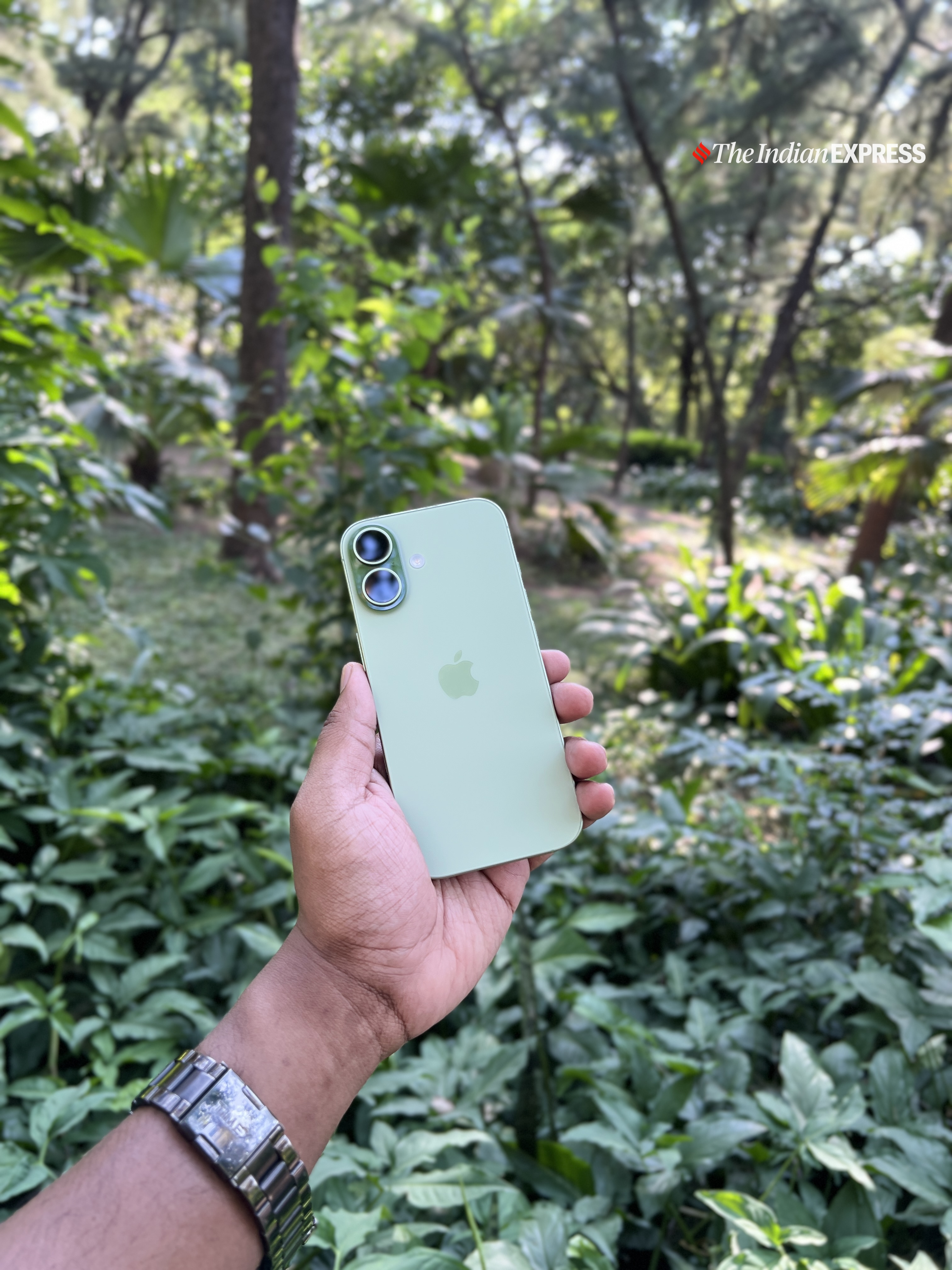 Sage-green iPhone 17 showcasing its clean, minimalist design and sleek dual-camera layout against a lush green backdrop. (Image: Bijin Jose/The Indian Express)