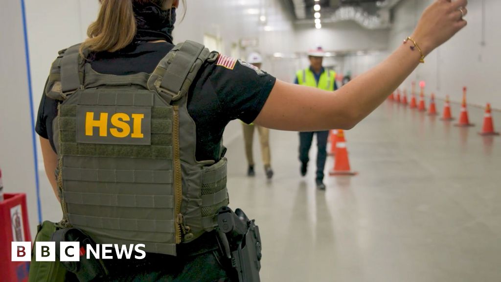 ICE raid on Hyundai plant in Georgia swept up workers on visitor visas