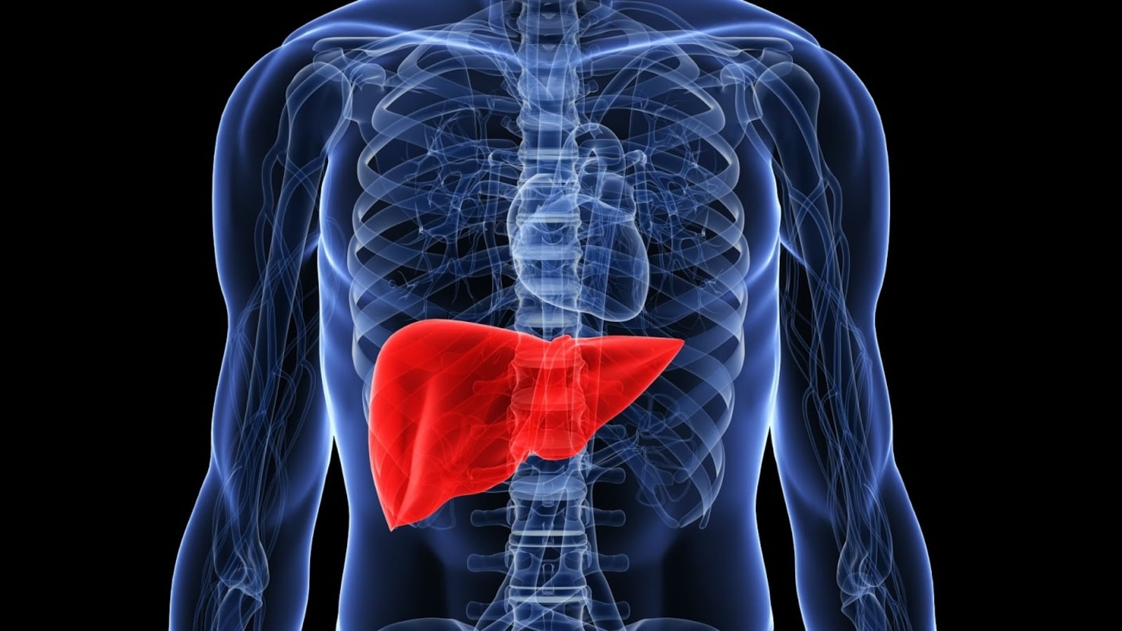 Oncologist warns ‘even non-drinkers are at risk’ as liver cancer rises among youth; shares causes and prevention tips