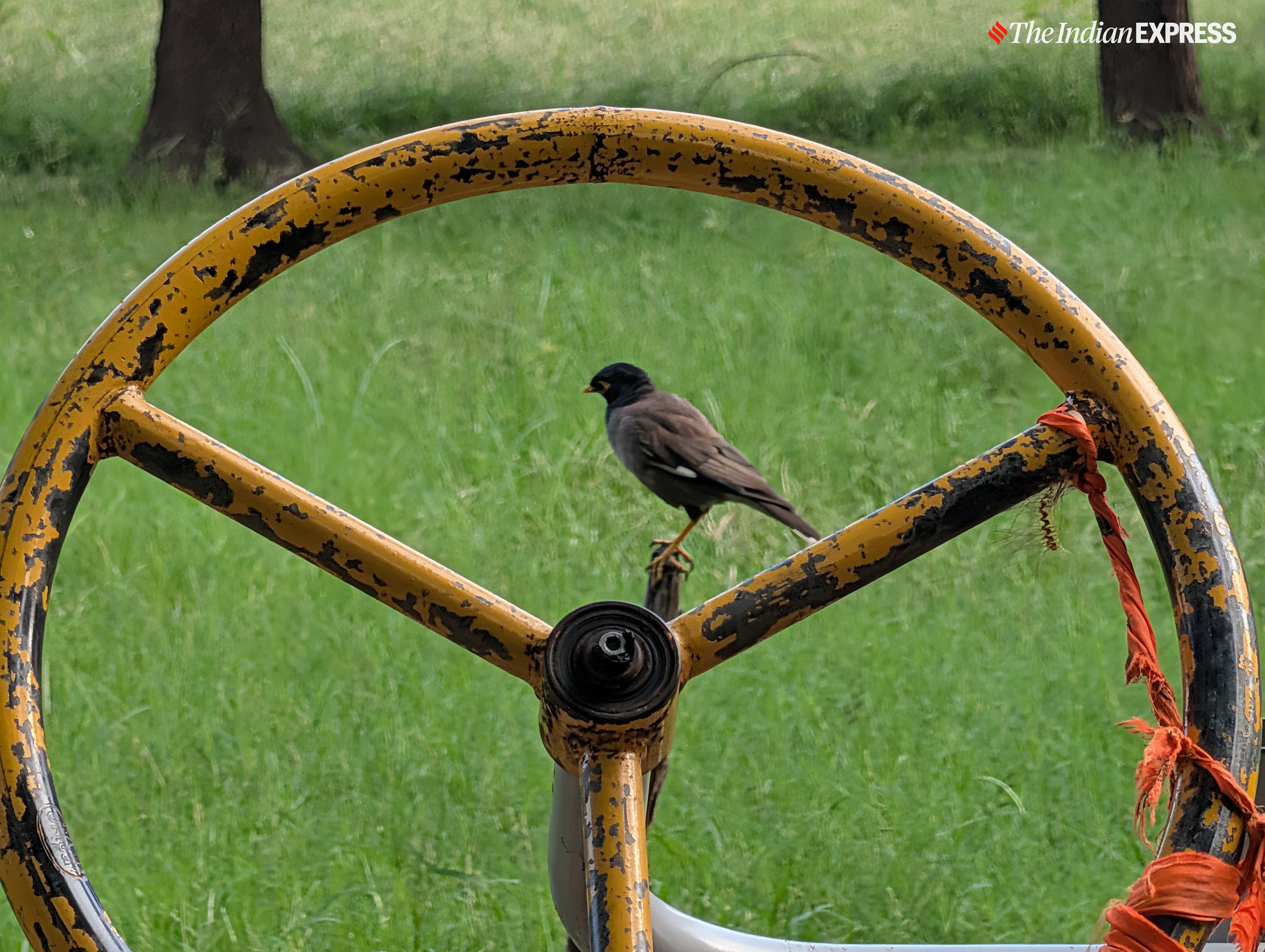 (Image: Anuj Bhatia/ The Indian Express)