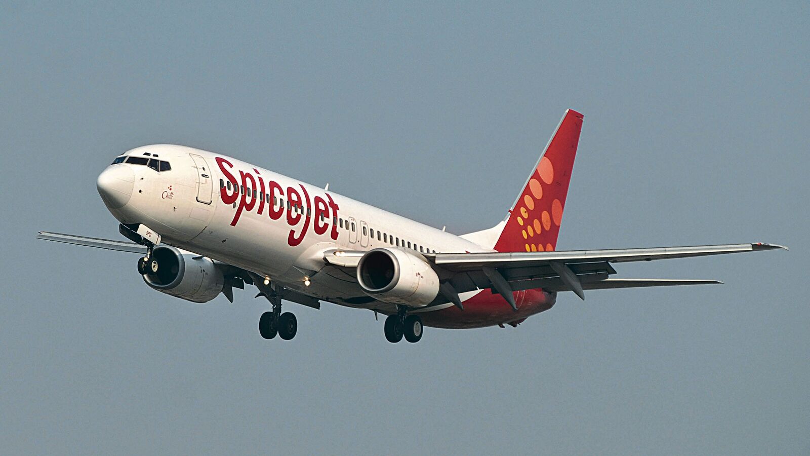 SpiceJet share price falls over 5% following a ₹234 crore loss in Q1; should you still buy?
