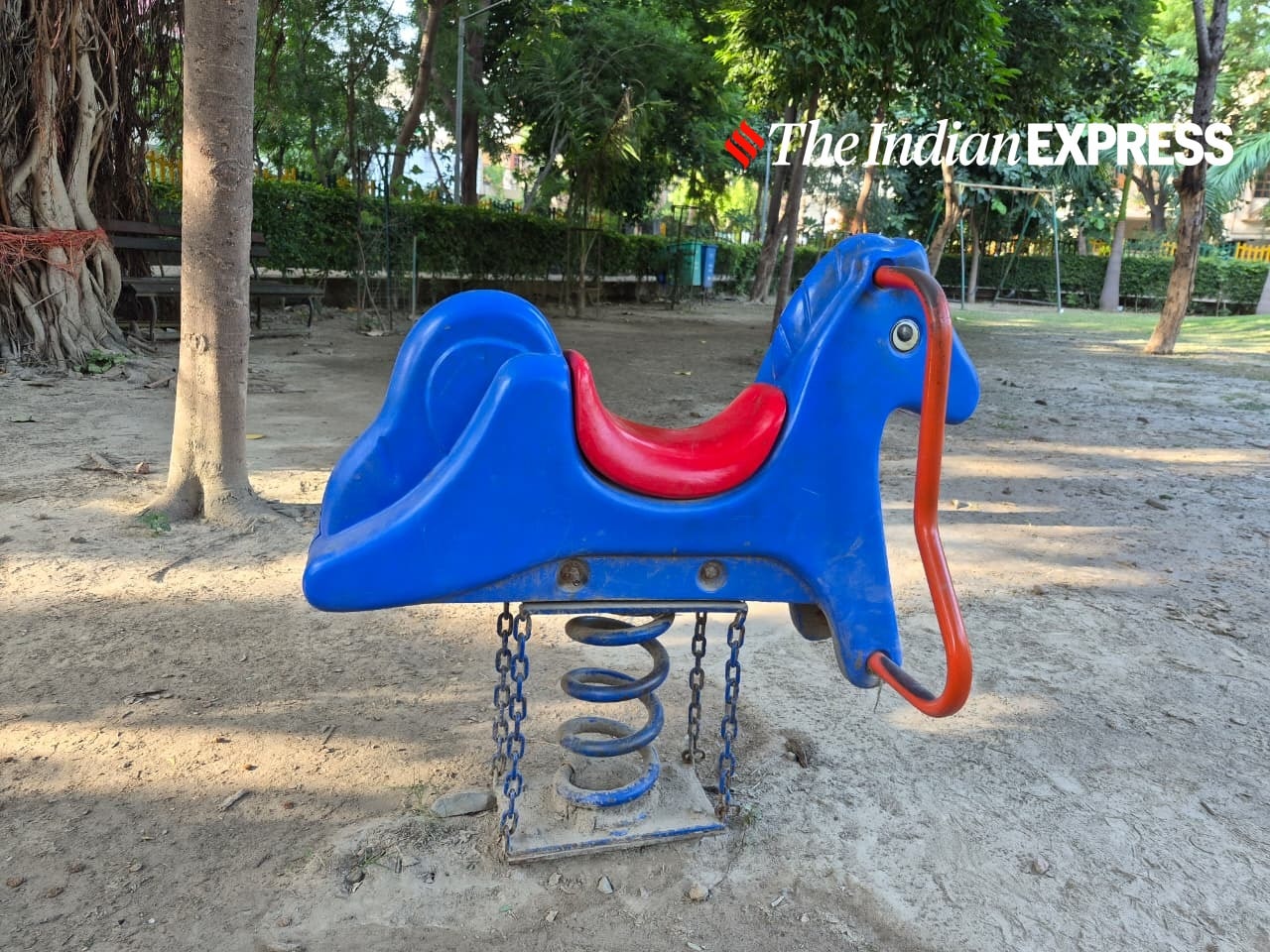 Playground spring rider reveals fine details and accurate colours.(Bijin Jose/The Indian Express)