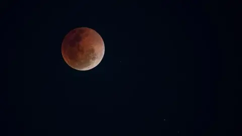 Getty Images The Blood Moon against the dark sky in Johannesburg. 