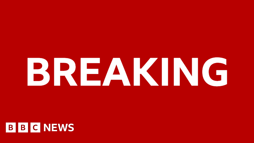 Government loses bid to block Palestine Action ban appeal