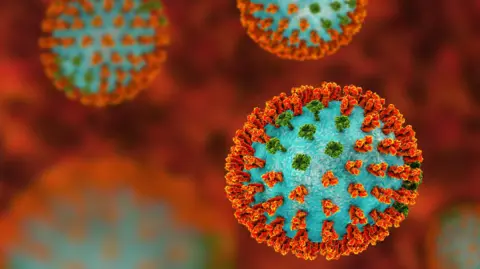 Getty Images 3D illustration showing spherical object representing the virus. It is covered in green and orange spikes which represent the two key proteins on the surface of a flu virus. There is one flu virus in focus in the bottom right and more in varying degrees of blur in the background. 