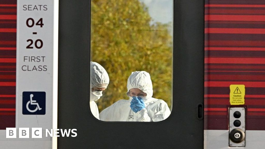 What do we know about man charged over train stabbings?