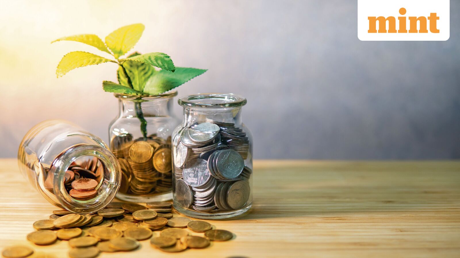 Dividend, bonus issue, stock split: Canara Robeco to trade ex-dividend, GRM Overseas ex-bonus issue next week — List