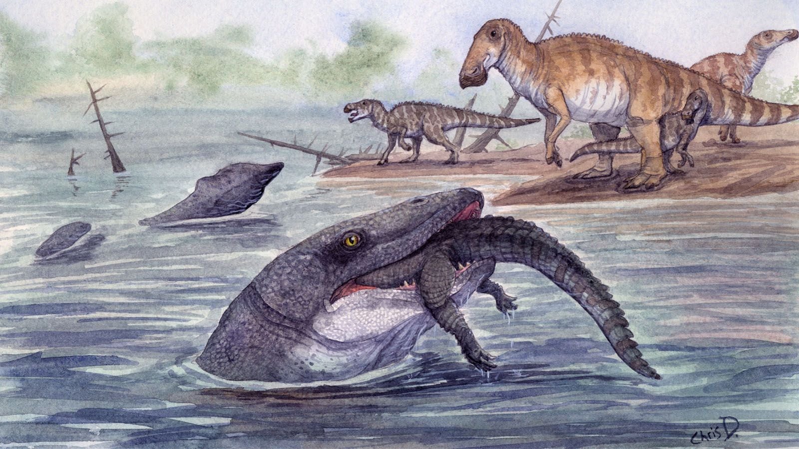 Study reveals mosasaurs adapted to freshwater rivers before extinction | Technology News