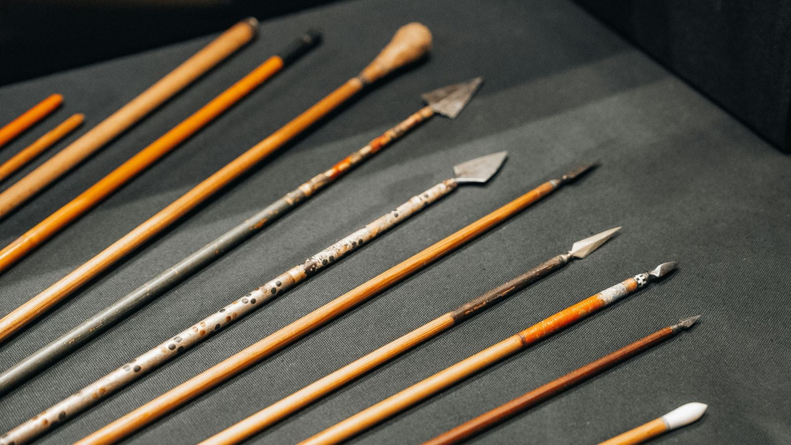 How ancient hunters may have mastered poison long before recorded history | Technology News