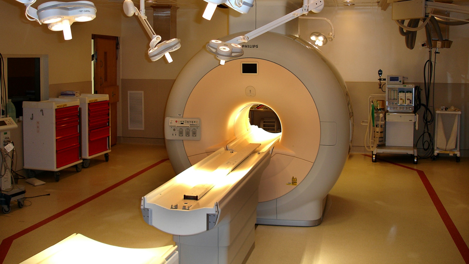 What do you get when you put a mummy through a CT scan? | World News