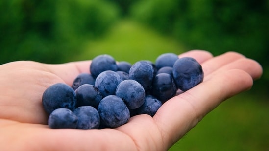 Longevity doctor shares 5 foods that improve heart health: From blueberries to salmon